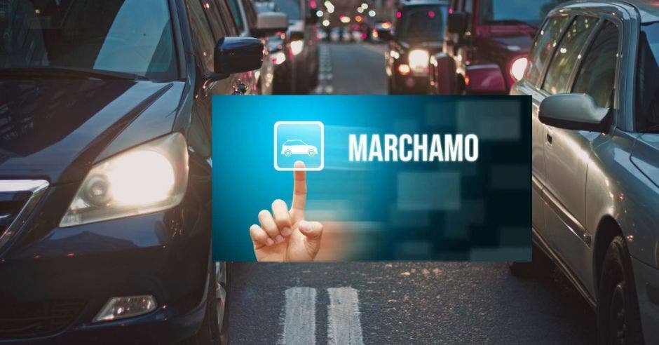 Marchamo