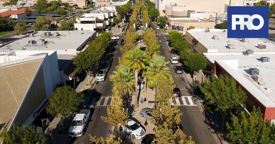 avenida