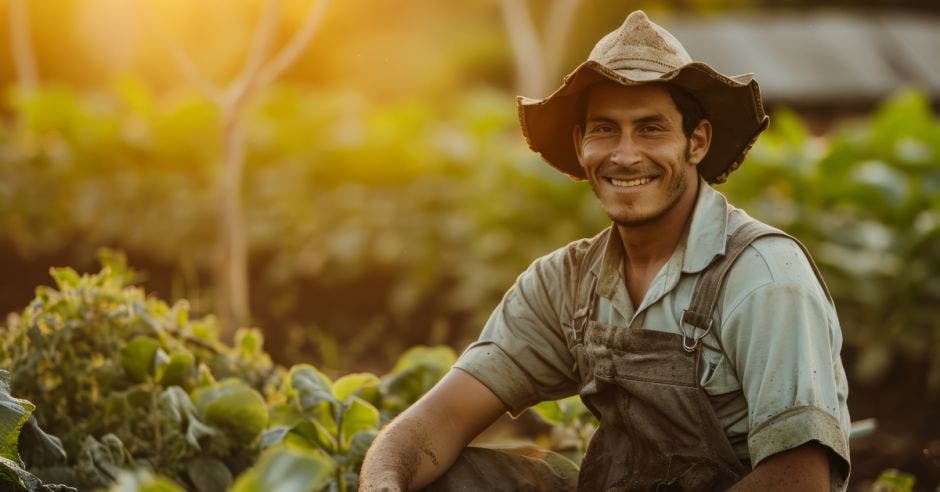 Este problema no solo tiene un impacto económico, sino que también afecta la seguridad alimentaria y el medio ambiente. Cortesía/La República