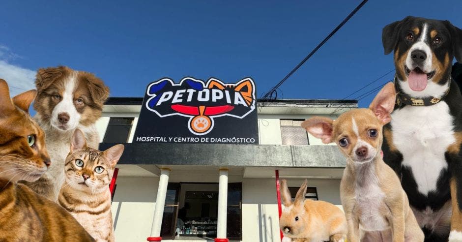 Petopia